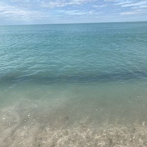 Meet your Posher, Sage